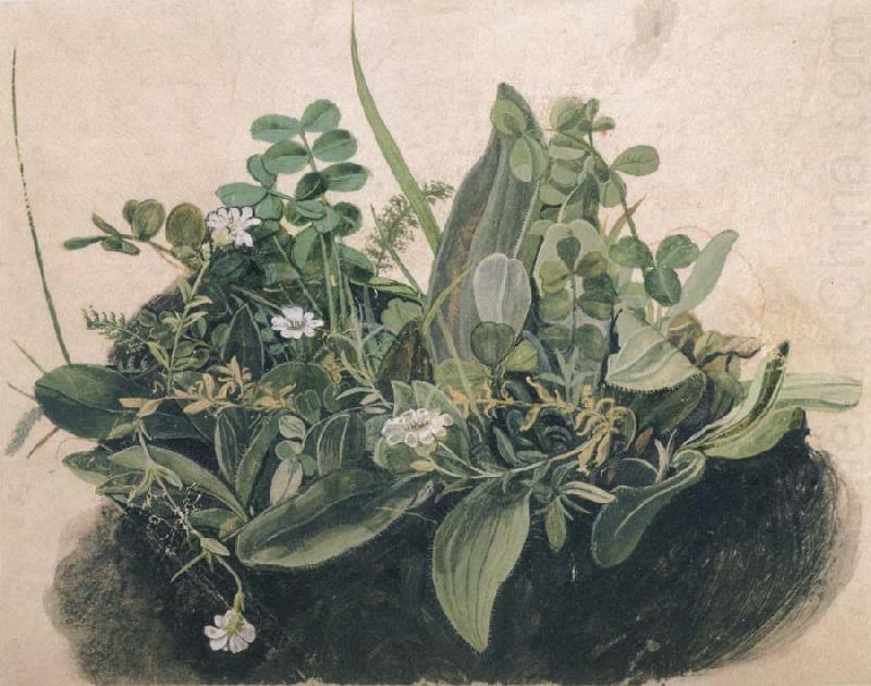 unknow artist Small Clump of Wayside Plants oil painting picture